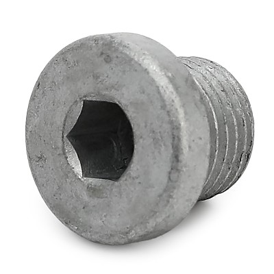 Oil Plug RIDEX 593D0024 593D0024 - photo 6