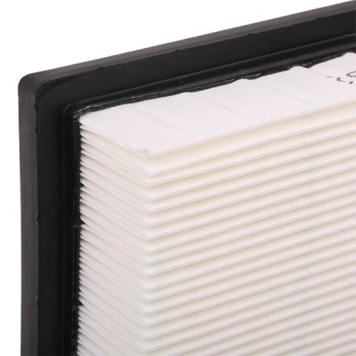 Air Filter RIDEX 8A0393 8A0393 - photo 5