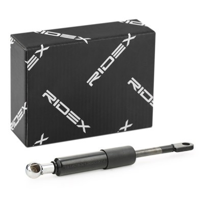 Gas Spring, boot-/cargo area RIDEX 2454G0006 2454G0006 - photo 2