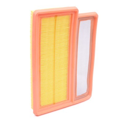 Air Filter RIDEX 8A0663 8A0663 - photo 3