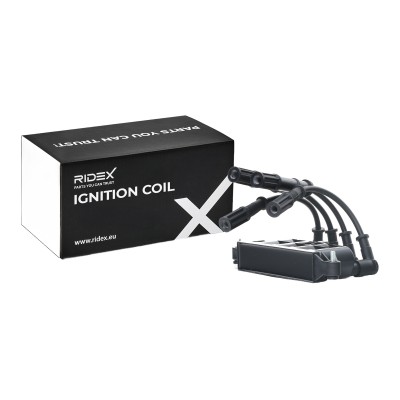 Ignition Coil RIDEX 689C0290 689C0290 - photo 7