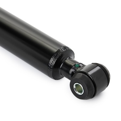 Shock Absorber RIDEX 854S19066 854S19066 - photo 6