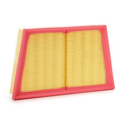 Air Filter RIDEX 8A0976 8A0976 - photo 3