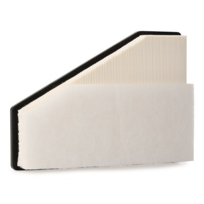 Air Filter RIDEX 8A0290 8A0290 - photo 3