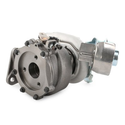 Turbocharger RIDEX 2234C0389 2234C0389 - photo 6
