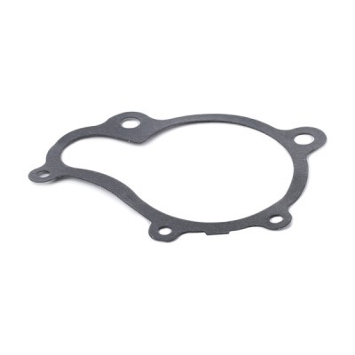 Water Pump, Engine Cooling RIDEX 1260W0100 1260W0100 - photo 6