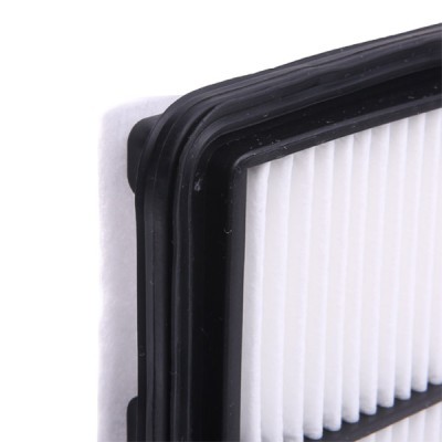Air Filter RIDEX 8A0865 8A0865 - photo 5