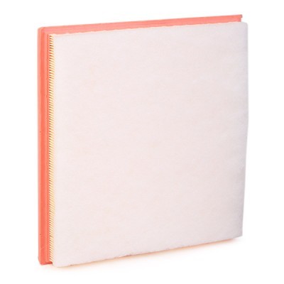 Air Filter RIDEX 8A0171 8A0171 - photo 4