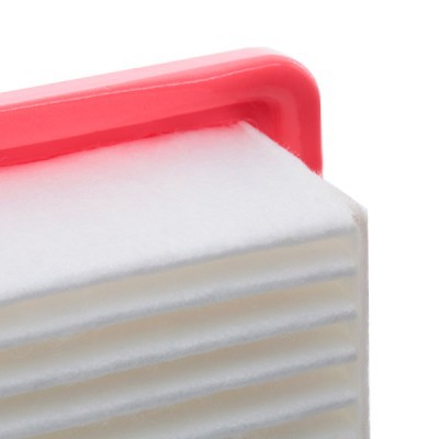 Air Filter RIDEX 8A0734 8A0734 - photo 5