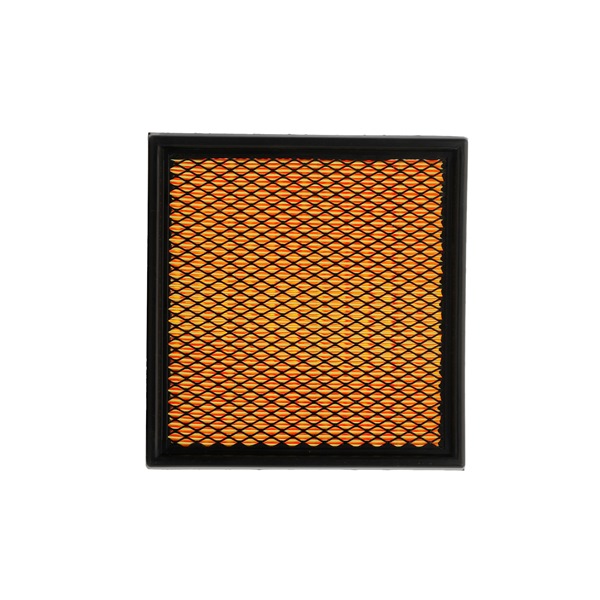 Air Filter RIDEX 8A0124P 8A0124P - photo 1