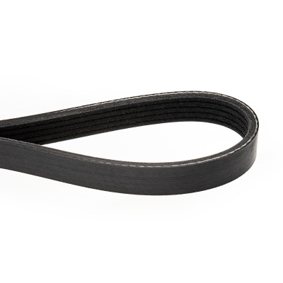 V-Ribbed Belt RIDEX 305P0164 305P0164 - photo 5