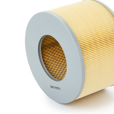 Air Filter RIDEX 8A0262 8A0262 - photo 5