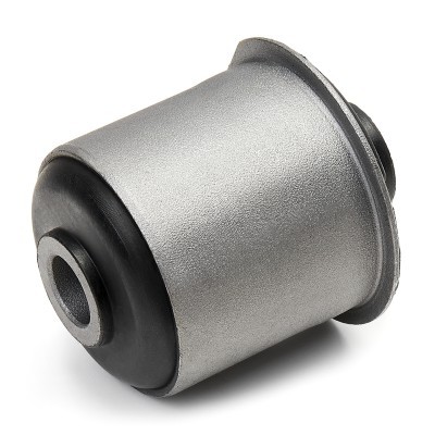 Control Arm Bushing RIDEX 251T0741 251T0741 - photo 4