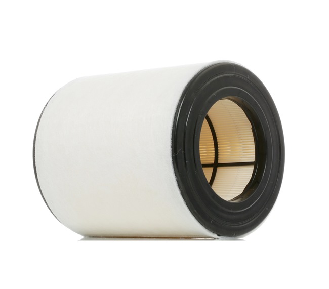 Air Filter RIDEX 8A0435 8A0435 - photo 1