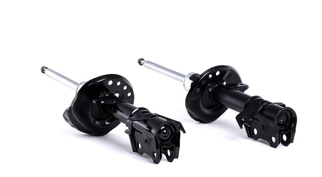 Shock Absorber RIDEX 854S2255 854S2255 - photo 1