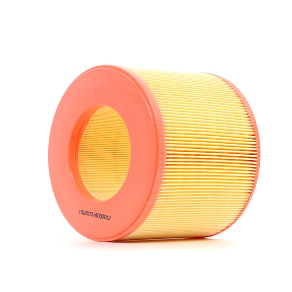 Air Filter RIDEX 8A0138 8A0138 - photo 1