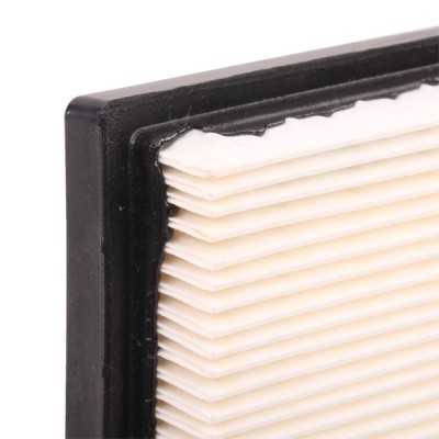 Air Filter RIDEX 8A0052 8A0052 - photo 6