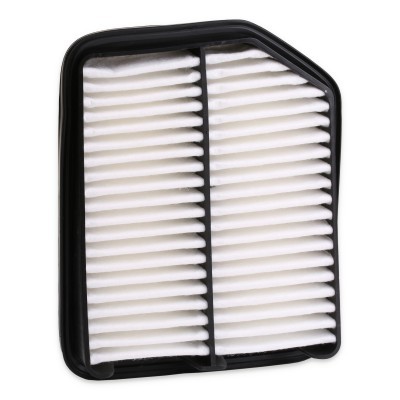 Air Filter RIDEX 8A0236 8A0236 - photo 4