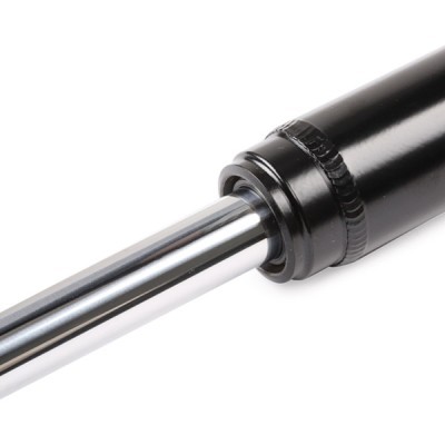 Shock Absorber RIDEX 854S1317 854S1317 - photo 7