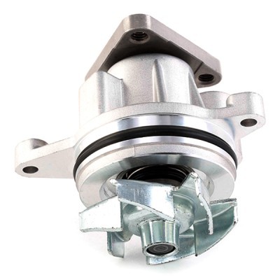 Water Pump, Engine Cooling RIDEX 1260W0061 1260W0061 - photo 2