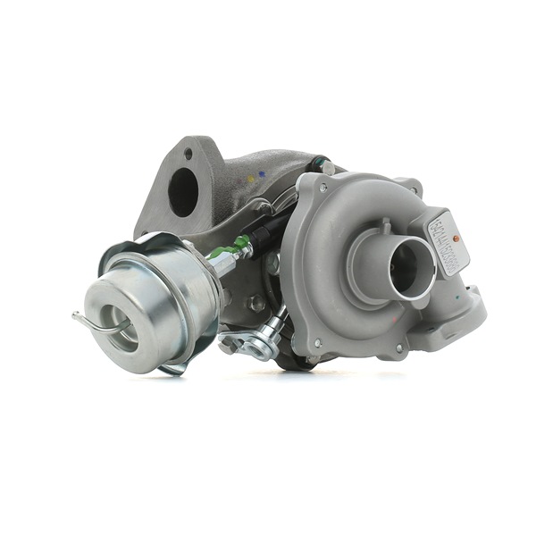 Turbocharger RIDEX 2234C0313 2234C0313 - photo 1