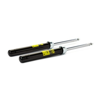 Shock Absorber RIDEX 854S1736P 854S1736P - photo 4