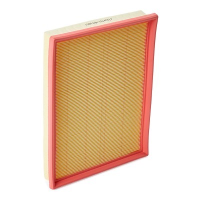 Air Filter RIDEX 8A0803 8A0803 - photo 3