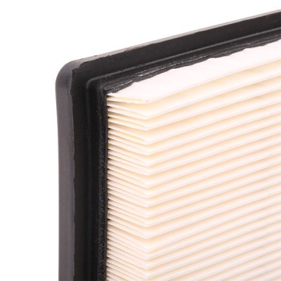 Air Filter RIDEX 8A0286 8A0286 - photo 6