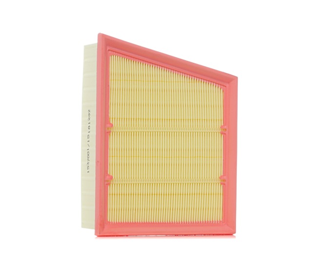Air Filter RIDEX 8A0918 8A0918 - photo 1