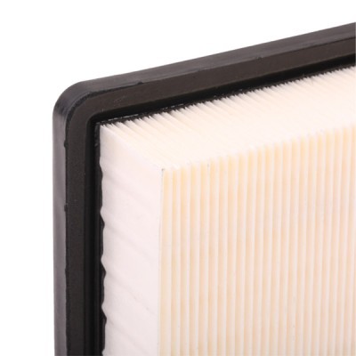 Air Filter RIDEX 8A0313 8A0313 - photo 6