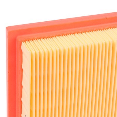 Air Filter RIDEX 8A0043 8A0043 - photo 5