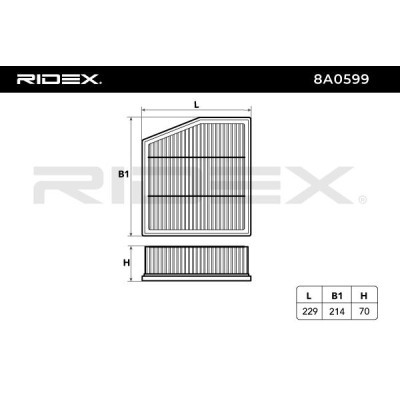Air Filter RIDEX 8A0599 8A0599 - photo 6