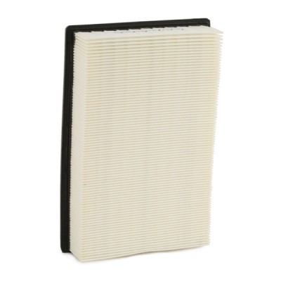 Air Filter RIDEX 8A0102 8A0102 - photo 5