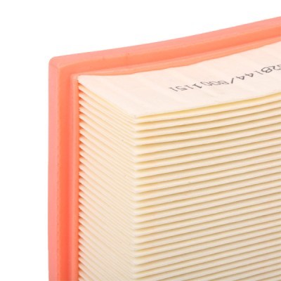 Air Filter RIDEX 8A0268 8A0268 - photo 5