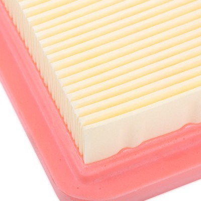 Air Filter RIDEX 8A0794 8A0794 - photo 5