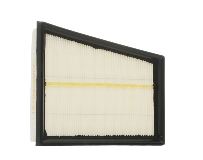 Air Filter RIDEX 8A0465 8A0465 - photo 1