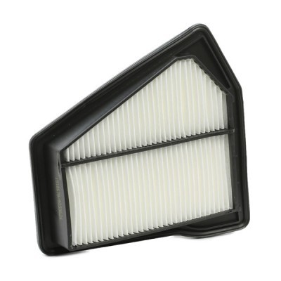Air Filter RIDEX 8A0494 8A0494 - photo 3