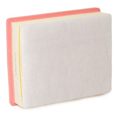 Air Filter RIDEX 8A0644 8A0644 - photo 4