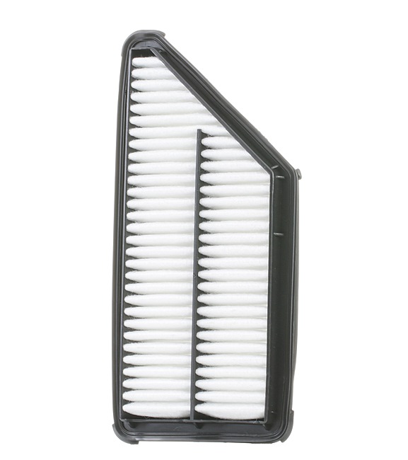 Air Filter RIDEX 8A0567 8A0567 - photo 1