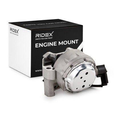 Engine Mounting RIDEX 247E1099 247E1099 - photo 2
