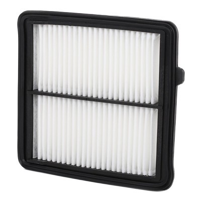 Air Filter RIDEX 8A0289 8A0289 - photo 3