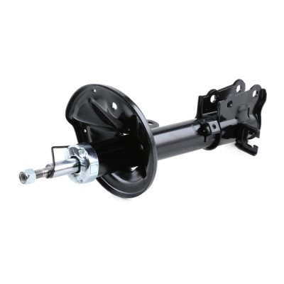 Shock Absorber RIDEX 854S0216 854S0216 - photo 4
