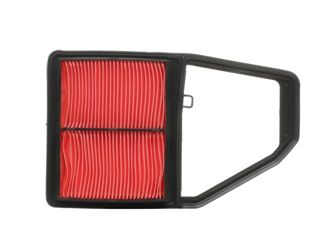 Air Filter RIDEX 8A0147 8A0147 - photo 1