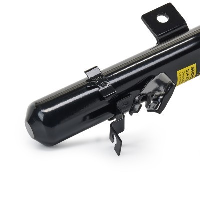 Shock Absorber RIDEX 854S2201P 854S2201P - photo 5