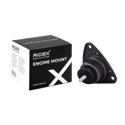 Engine Mounting RIDEX 247E0569 247E0569 - photo 5