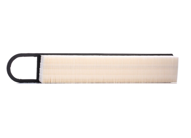 Air Filter RIDEX 8A0176 8A0176 - photo 1