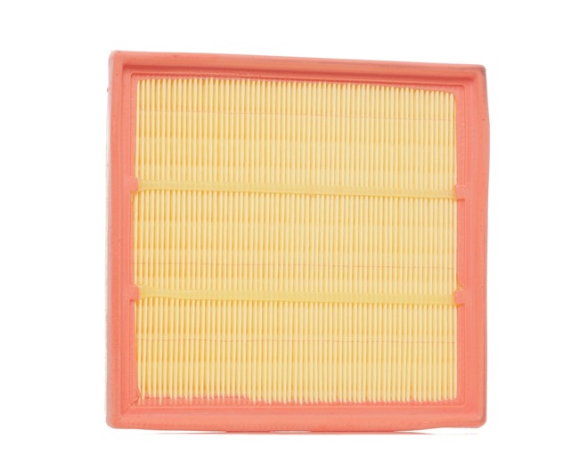 Air Filter RIDEX 8A0279 8A0279 - photo 1