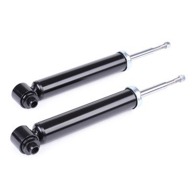 Shock Absorber RIDEX 854S1934 854S1934 - photo 3
