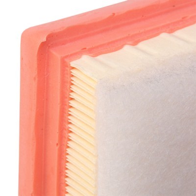 Air Filter RIDEX 8A0171 8A0171 - photo 5