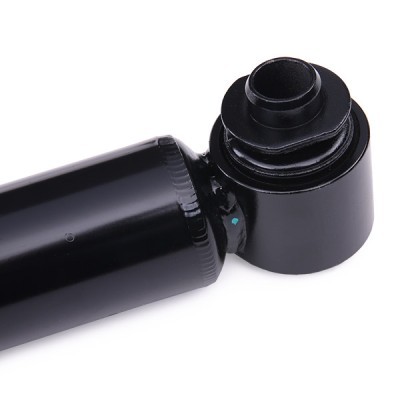 Shock Absorber RIDEX 854S1073 854S1073 - photo 6